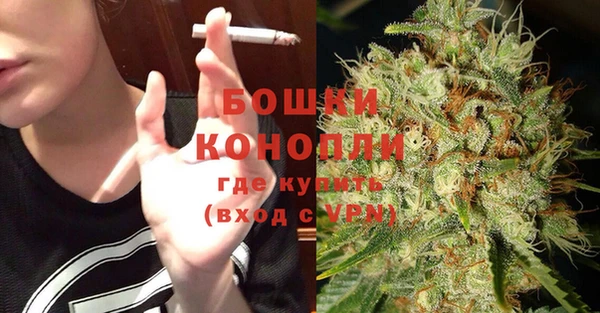 гидра Елизово